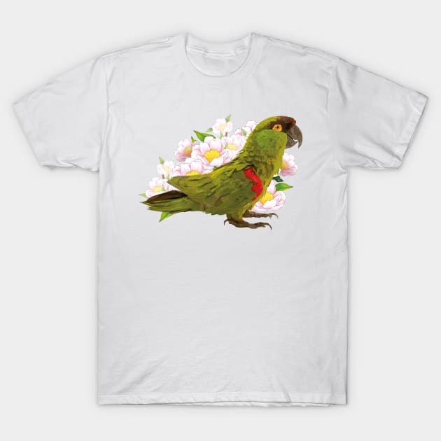 mountain parrot T-Shirt by obscurite